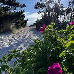 Cozy And Updated House On Large Private Lot Casa vacanze