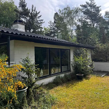 Cozy And Updated House On Large Private Lot Holiday home Hojby