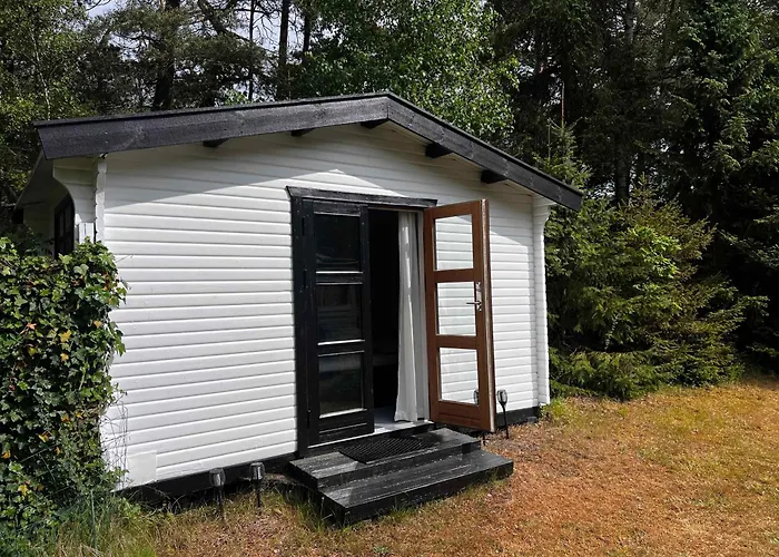 Cozy And Updated House On Large Private Lot Holiday home *
