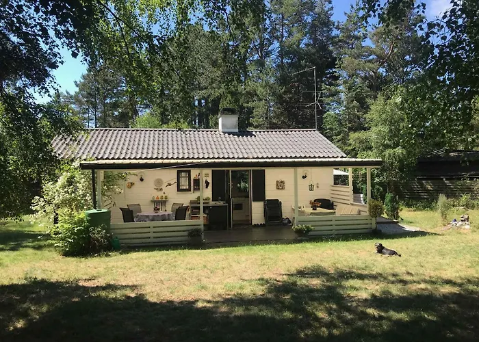 Cozy And Updated House On Large Private Lot